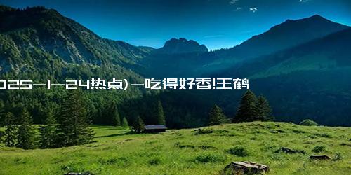 (2025-1-24热点)-吃得好香!王鹤棣你是真饿了 干饭人干饭魂，别人跨年他干饭！！